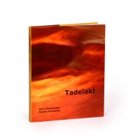 Tadelakt-Buch Tadelakt-Buch