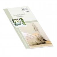 Flyer Schimmel Flyer Schimmel